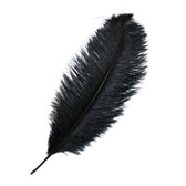 Ostrich Feather Plume 55-60 cm - Black (Fekete)