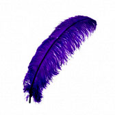 Strucctoll - ROYAL BLUE (15)