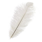 Ostrich Feather Plume 55-60 cm - WHITE (fehér)