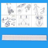 Halcsont rigilene 12-mm Halcsont rigilene 12-mm